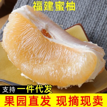 福建白心蜜柚批发白柚大果柚子高甜白肉柚子当季柚子厂家直销