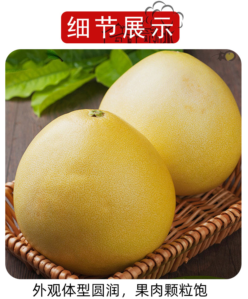 福建白心蜜柚批发白柚大果柚子高甜白肉柚子当季柚子厂家直销