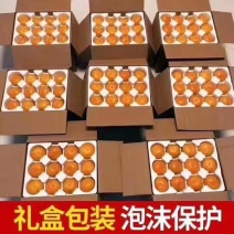 临海高山蜜桔宫川蜜桔