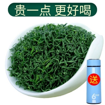 正宗高山云雾绿茶日照充足茶叶