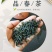 正宗高山云雾绿茶日照充足茶叶
