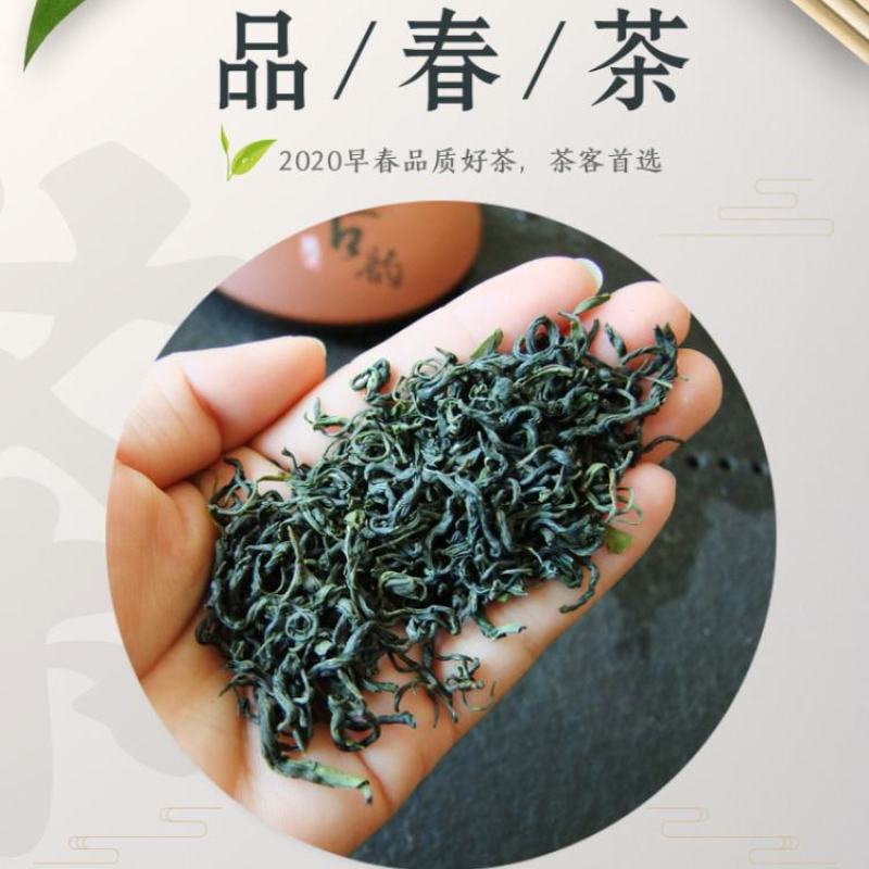 正宗高山云雾绿茶日照充足茶叶