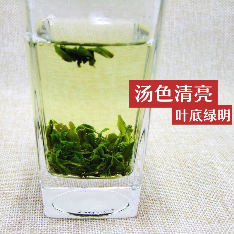 正宗高山云雾绿茶日照充足茶叶