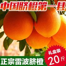 雷波脐橙（假一赔十）产地四川省大凉山雷波县