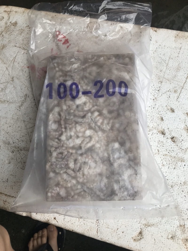 批发虾仁单冻虾仁青虾仁白虾仁虾仁国内原料广东湛江