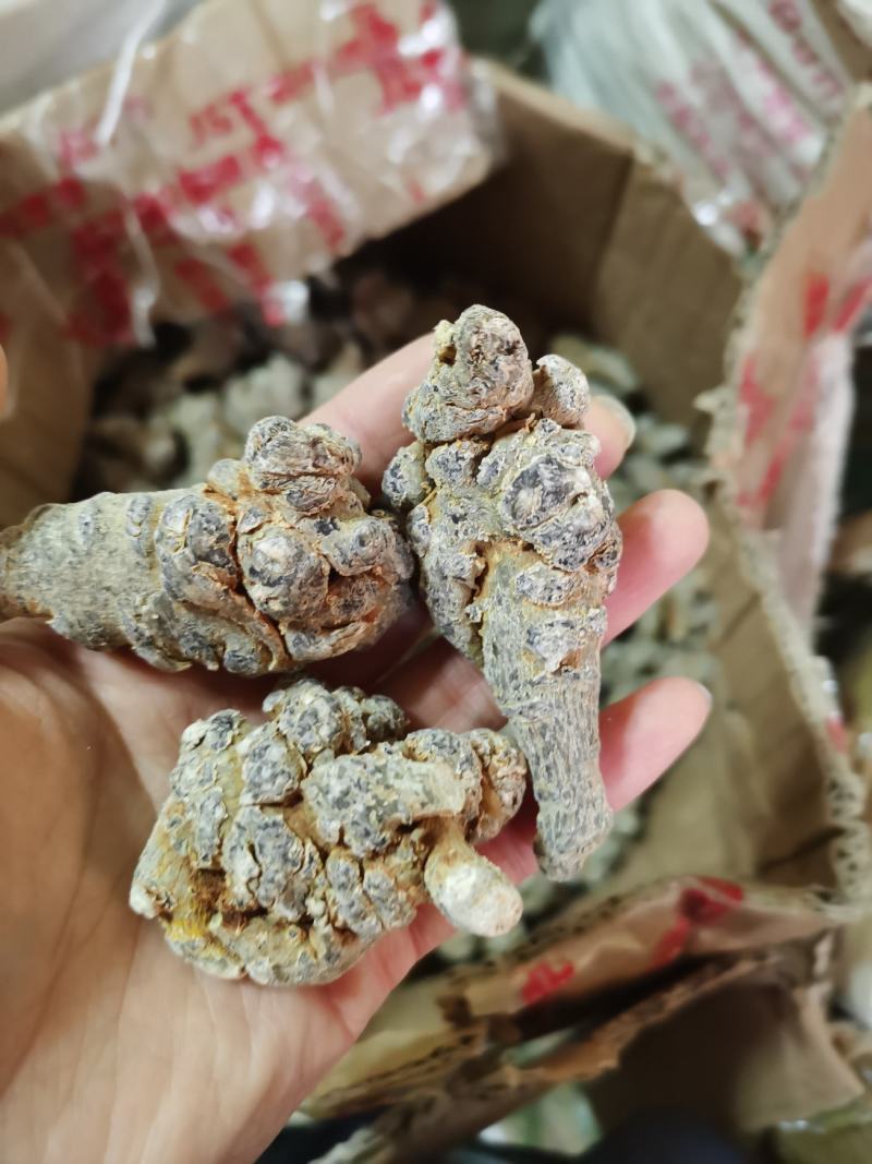云南文山三七各个规格齐全60，80滑头七