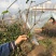 浓香型腊梅花树苗盆栽腊梅盆景老桩室内素心腊梅盆栽庭院耐寒