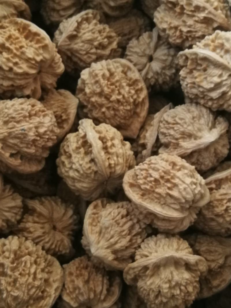 文玩核桃散货通货批发起批量价格不同