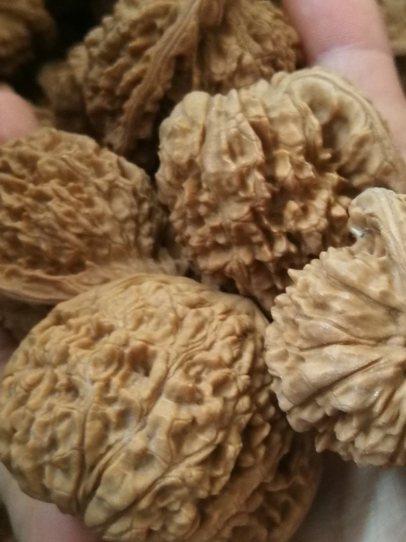 文玩核桃散货通货批发起批量价格不同