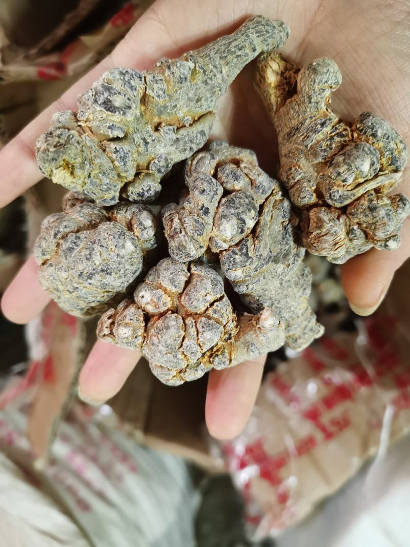 云南文山三七，全干老货可代加工打粉