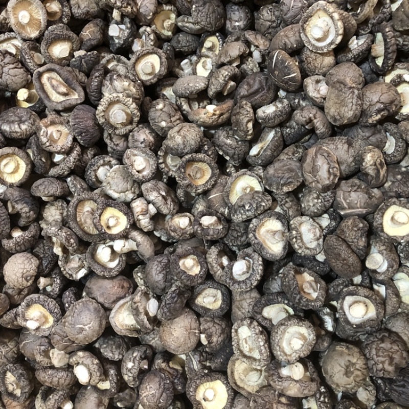 面菇新货上市小香菇干香菇肉质厚味浓香种植产地一手货源批发