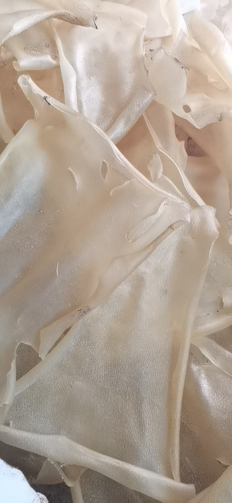 干猪皮，油炸猪皮，蹄筋，批发零售