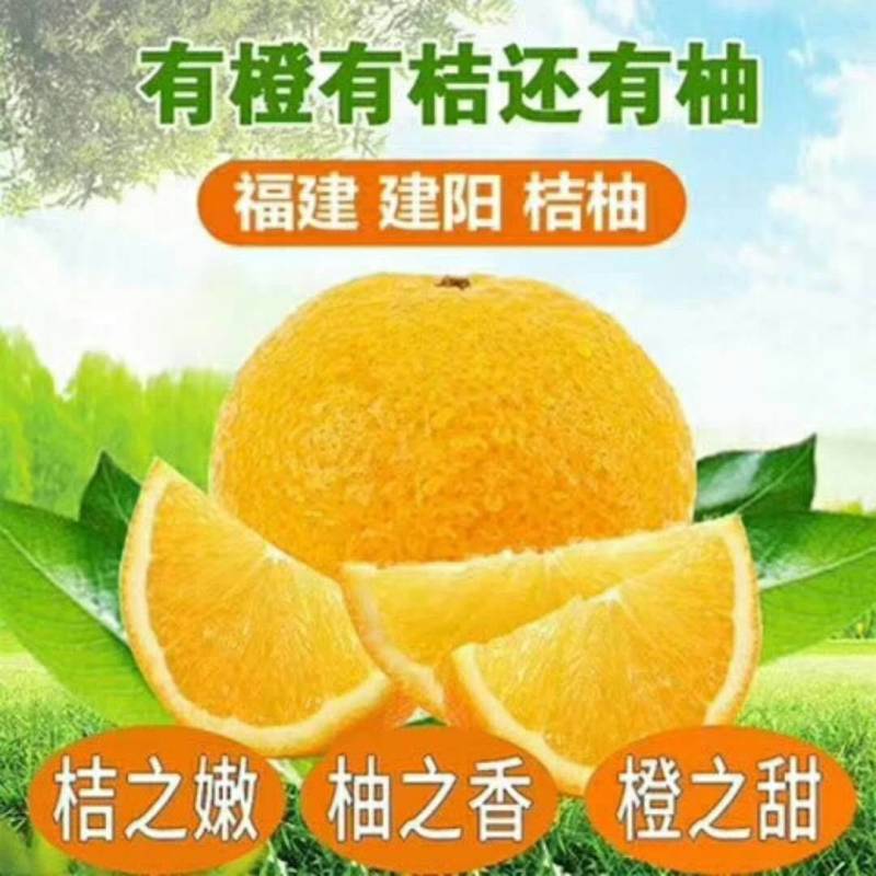 建阳桔柚礼盒装武夷山特产桔子柚子农家自产自销基地直供