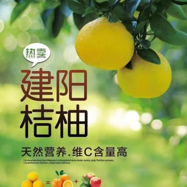 建阳桔柚散装农家自产自销基地直供