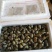 洪湖鱼米之乡中华田园螺现捞清水食用石螺蛳薄壳鲜活厚壳田螺
