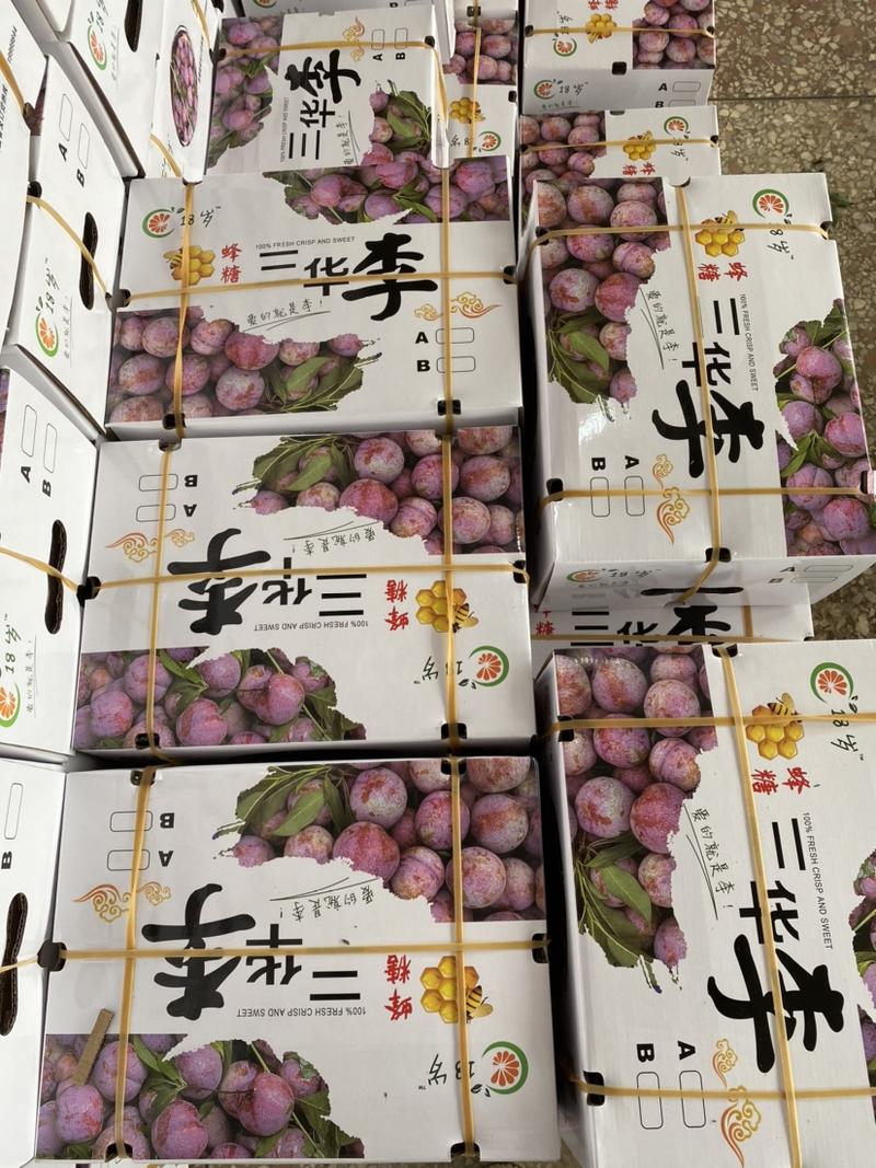 甜脆柿、广西桂林市平乐县、代办脆柿加工，代收一条龙服务
