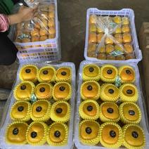 甜脆柿、广西桂林市平乐县、代办脆柿加工，代收一条龙服务