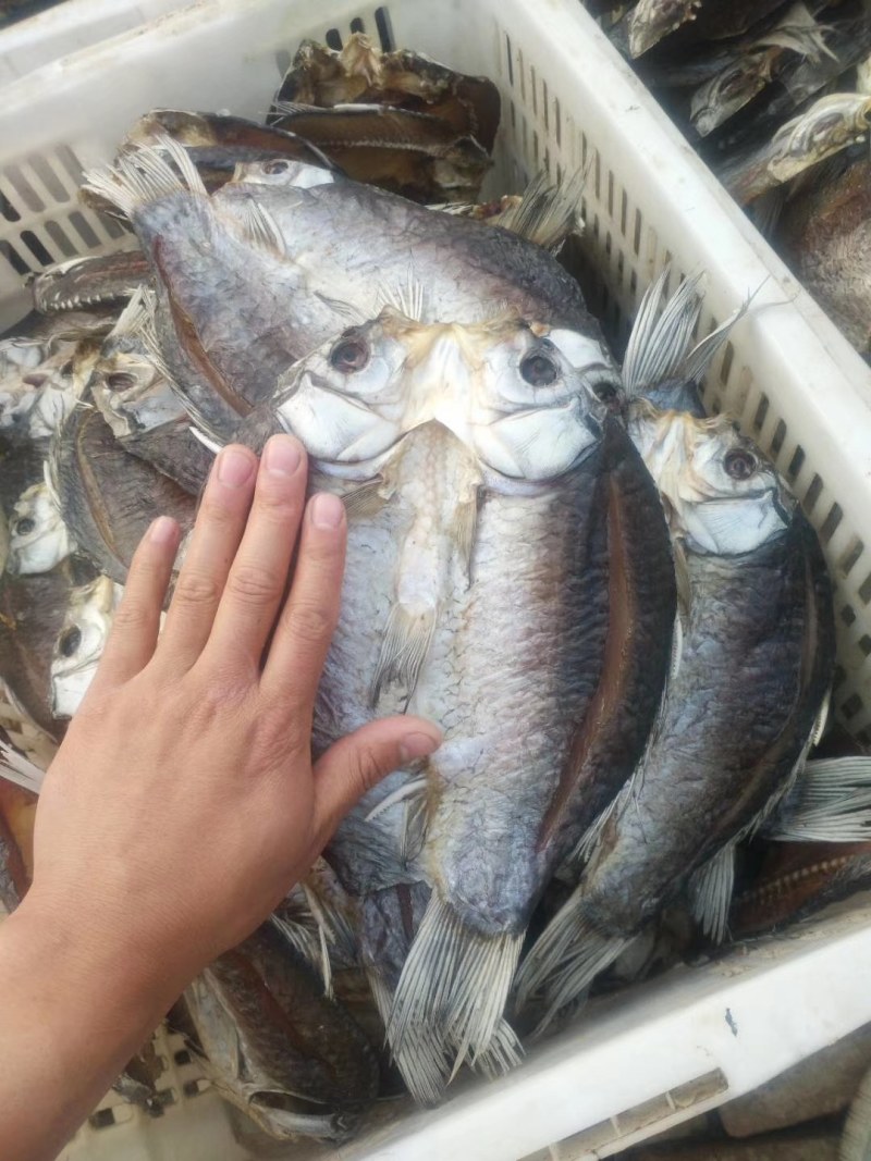 风干鱼各类风干鱼大小规格风干鱼，可平台交易