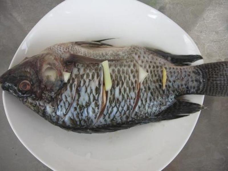 去鳞去内脏去腮/罗非鱼/烧烤火锅店特色食材/原汁原味