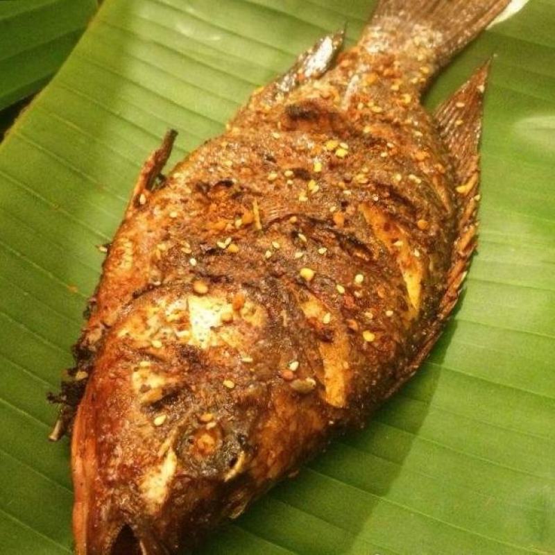 去鳞去内脏去腮/罗非鱼/烧烤火锅店特色食材/原汁原味