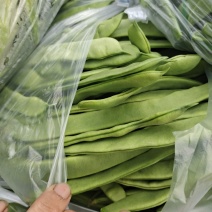 我处有万亩圆椒大量上市。