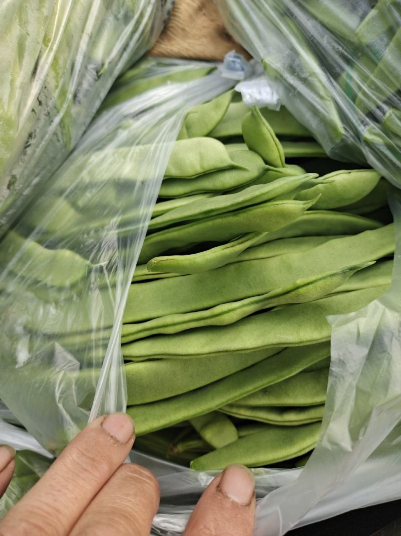 我处有万亩圆椒大量上市。