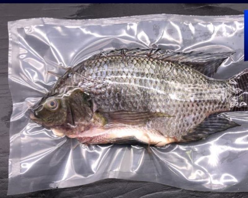 去鳞去内脏去腮/罗非鱼/烧烤火锅店特色食材/原汁原味