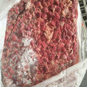 鸡肺，价格美丽厂家直接发货需要可以联系我