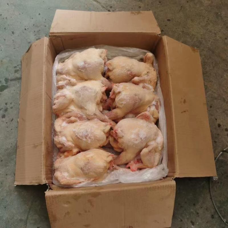 6~9只老母鸡，红毛。11公斤一件，资质齐全，价格合适