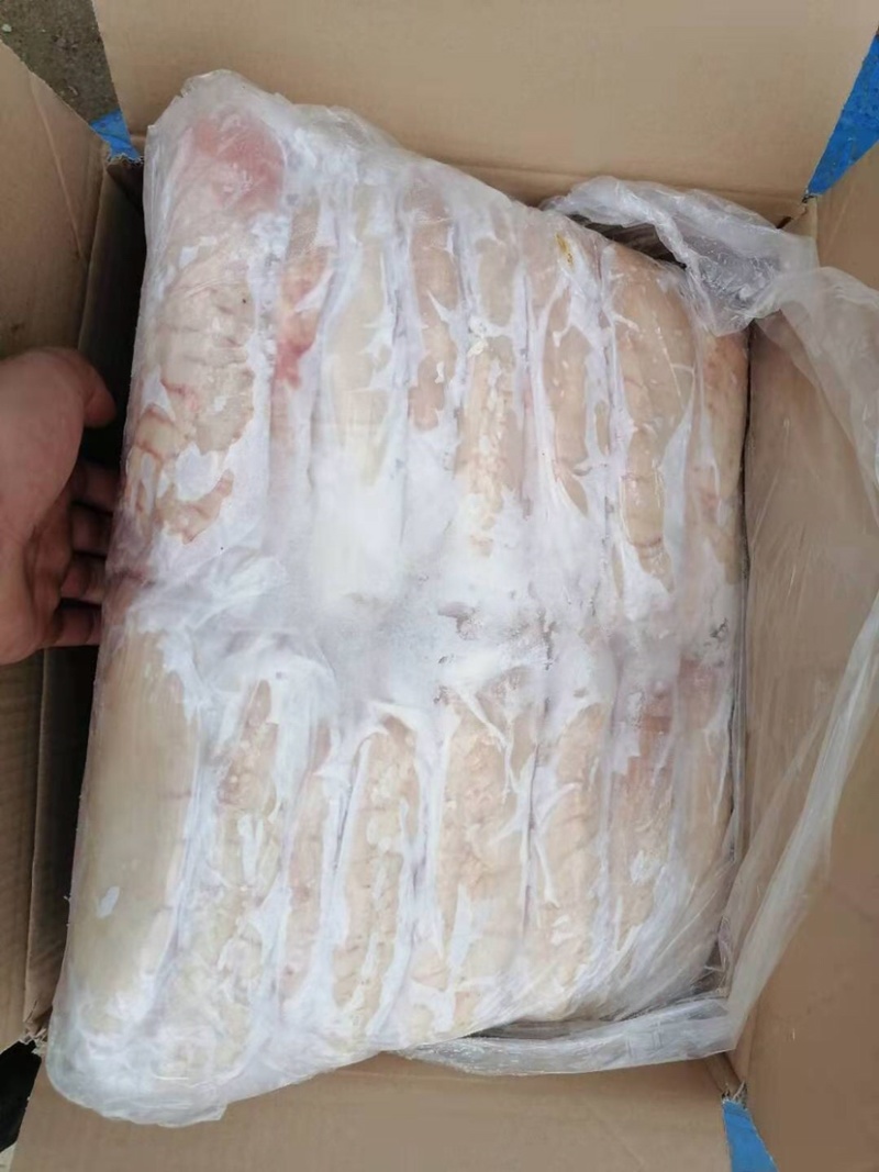 猪肚┈国产精品猪肚——支持随时看货16片装┈质量如图