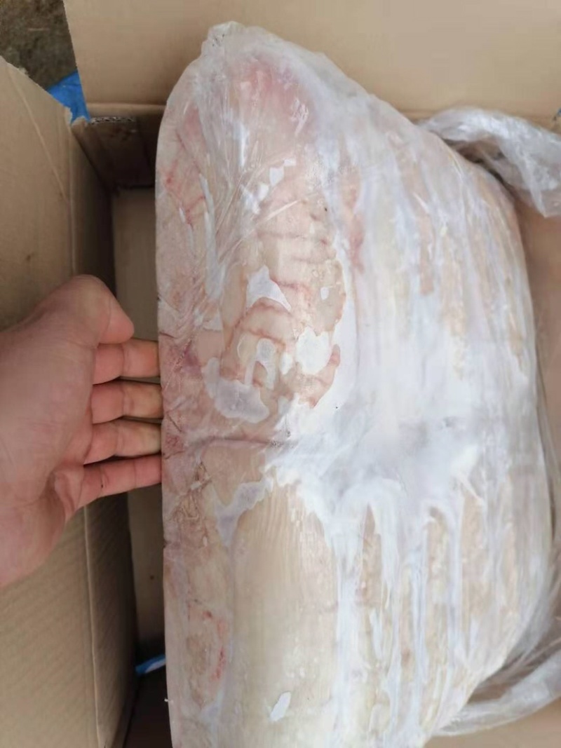 猪肚┈国产精品猪肚——支持随时看货16片装┈质量如图