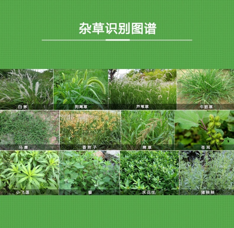侨昌亿尔剑20%草铵膦非耕地除草剂农药死草烂根不伤作物
