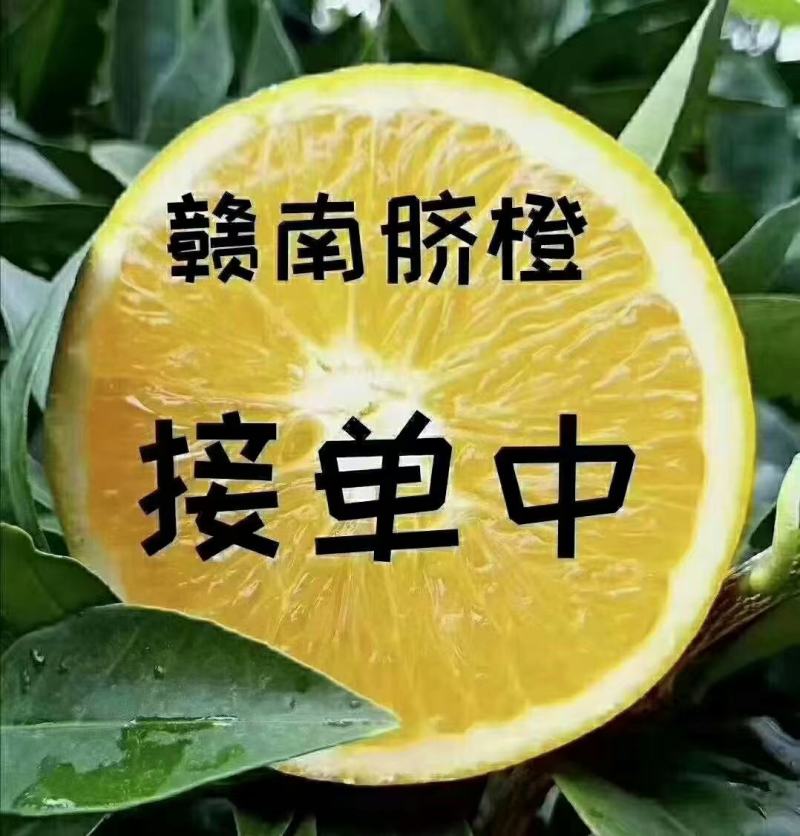 正宗江西赣州脐橙，硒元素丰富的土壤地种植，口感就是不一样