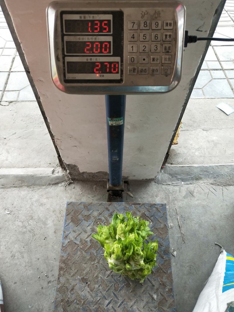 蔬菜/儿菜/根茎类/大小货