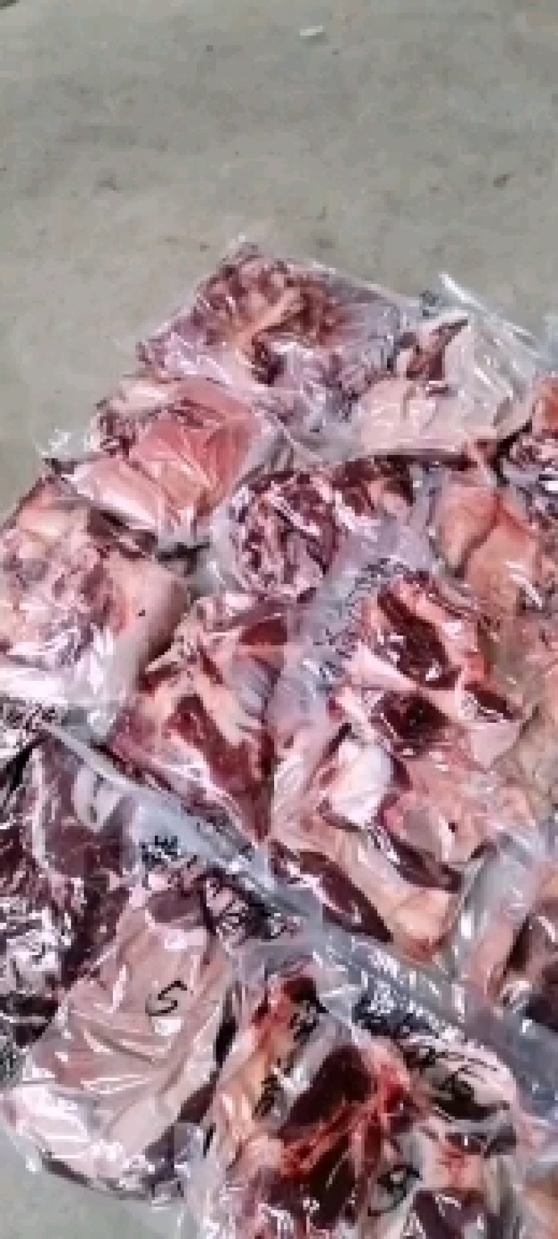 带皮鲜马肉，养殖基地一手货源，纯草料喂养