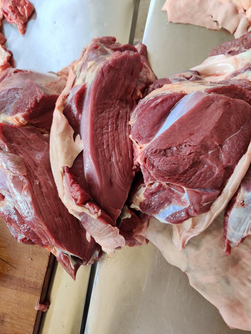 带皮鲜马肉，养殖基地一手货源，纯草料喂养