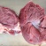 带皮鲜马肉，养殖基地一手货源，纯草料喂养