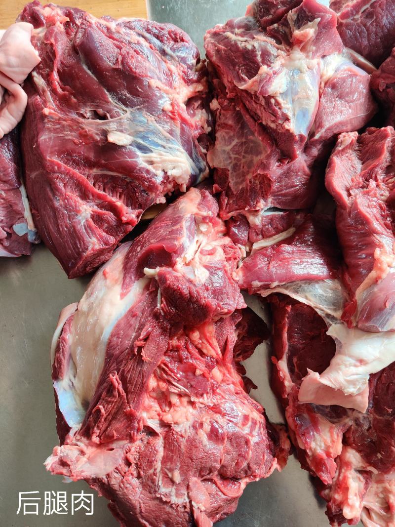 带皮鲜马肉，养殖基地一手货源，纯草料喂养