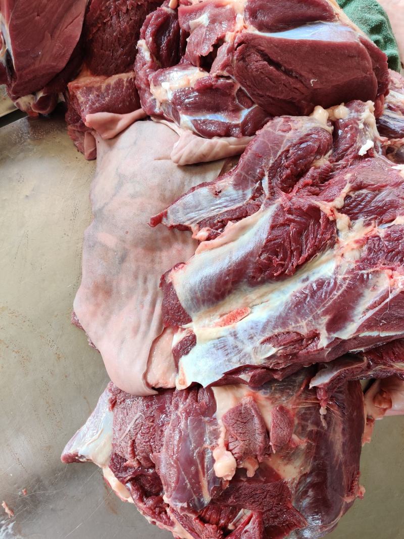 带皮鲜马肉，养殖基地一手货源，纯草料喂养