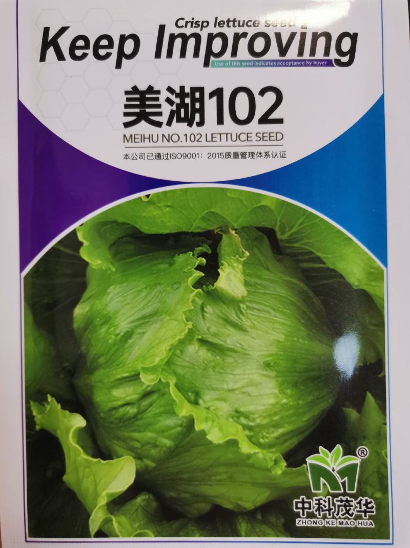 美湖102生菜种子，中熟耐寒，深绿色，鲜嫩清香，耐烧心