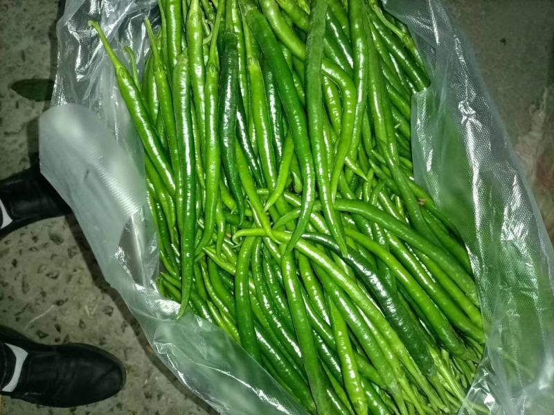 夏邑县大棚精品黑茄王大量供货中，各种包装齐全，质量保证。
