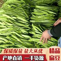 【热卖中】精品扁豆一手货源产地直采全国发货