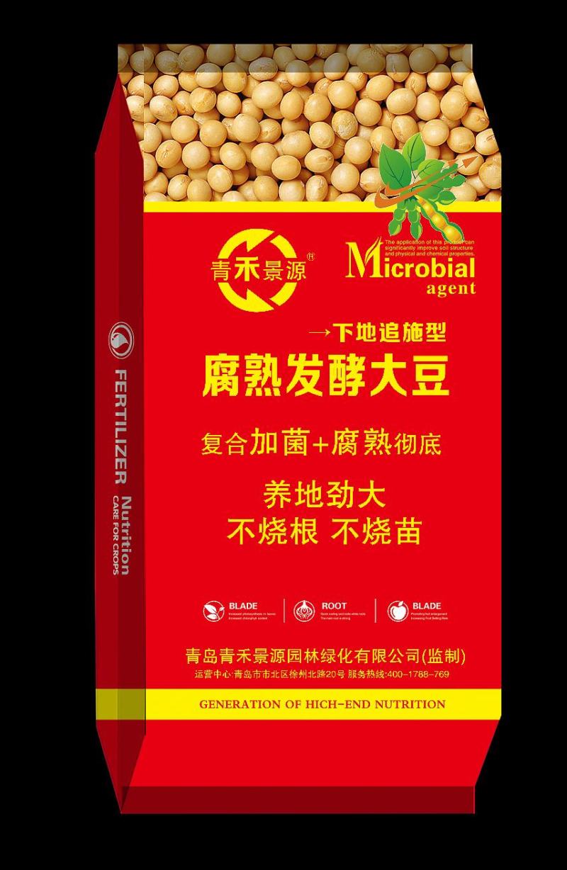 发酵大豆，益生菌发酵大豆