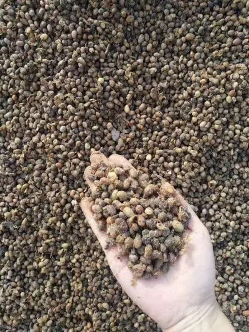 发酵大豆，益生菌发酵大豆