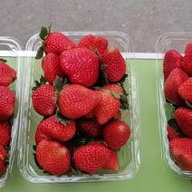 精品红颜草莓香甜可口美味诱人