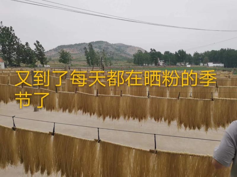 【一件代发】山东纯手工红薯粉条爽滑筋道圆宽粉1斤3斤5斤