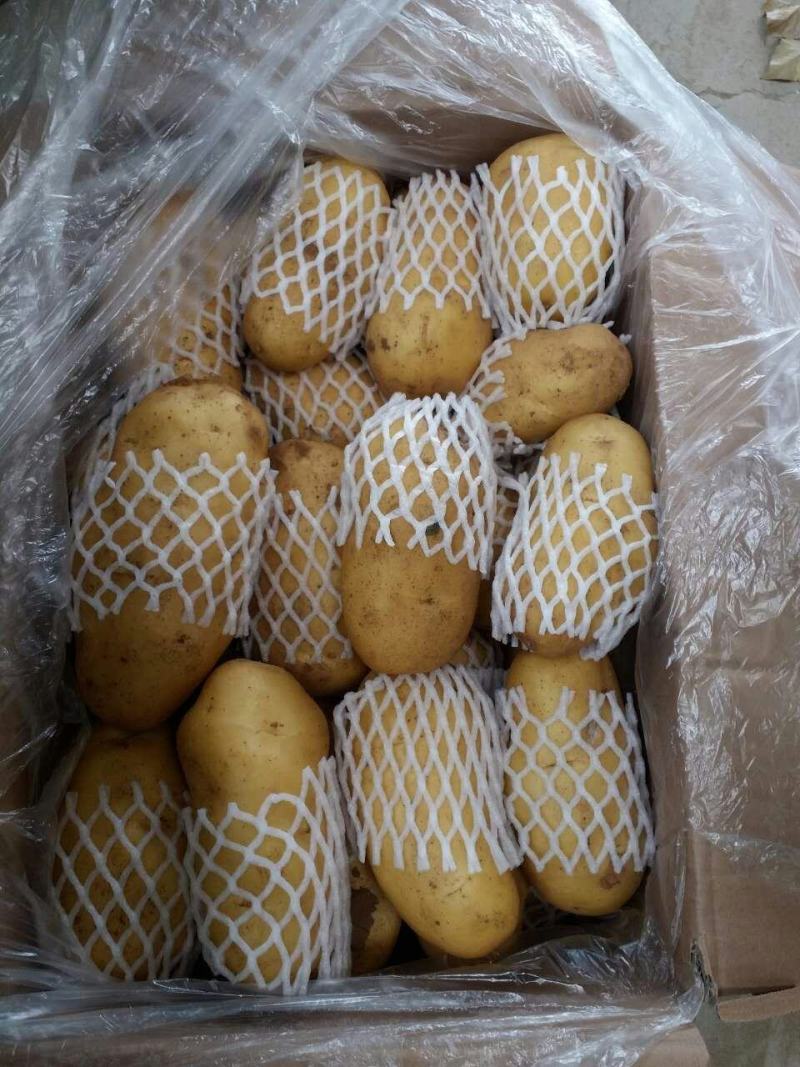 上涨中.土豆土豆土豆土豆！！！