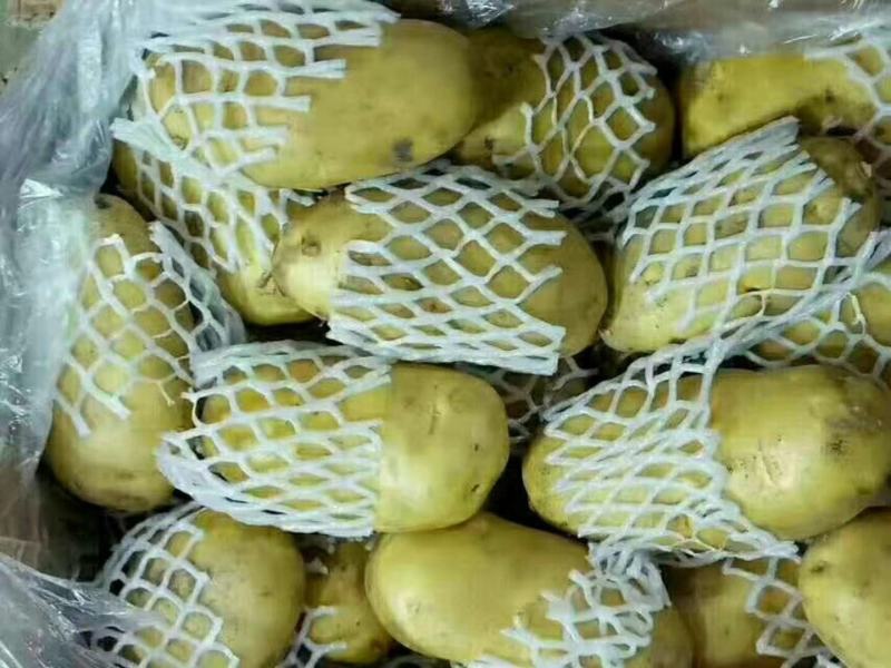 上涨中.土豆土豆土豆土豆！！！