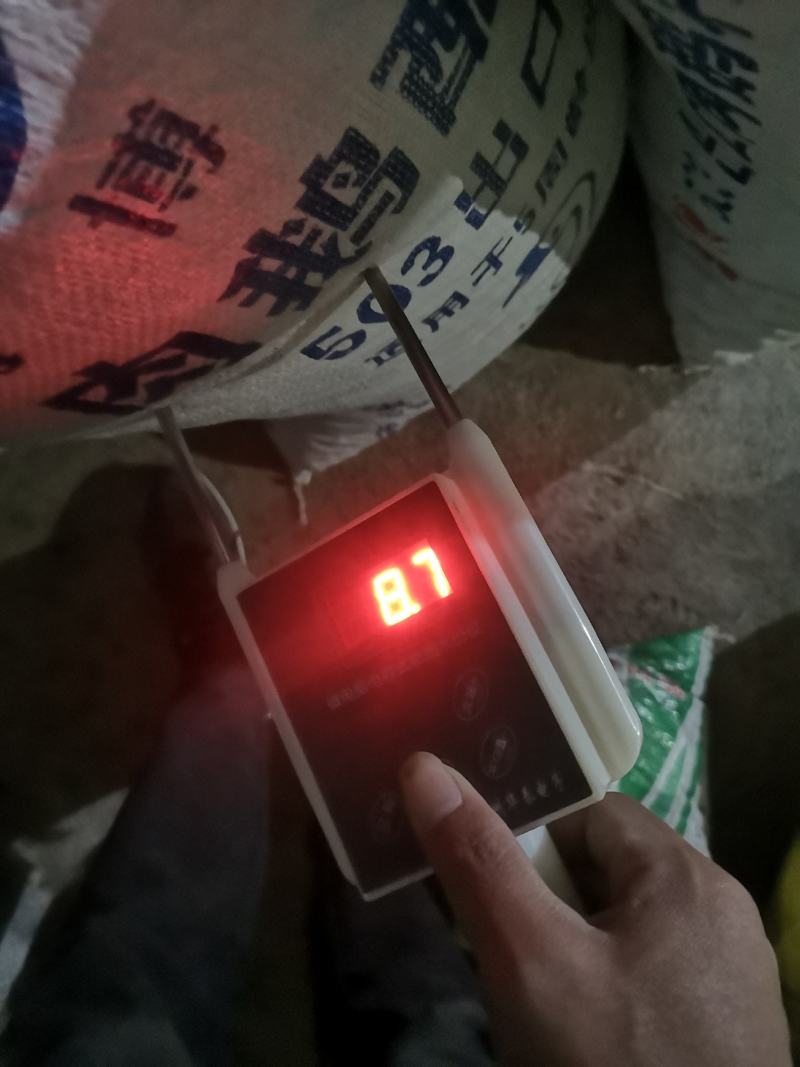 2025优质干茶籽，本地老品种油茶籽，需要的可联系
