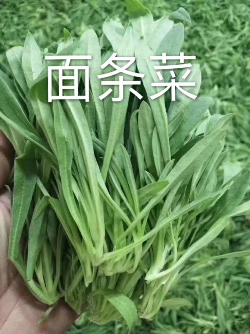 自力更生，丰衣足食。